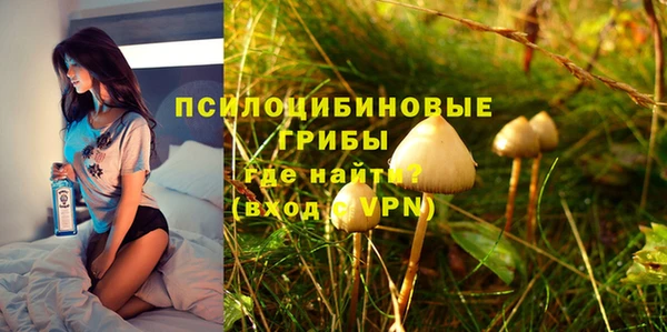 метадон Алексеевка