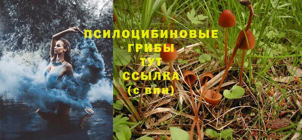 экстази Алексин