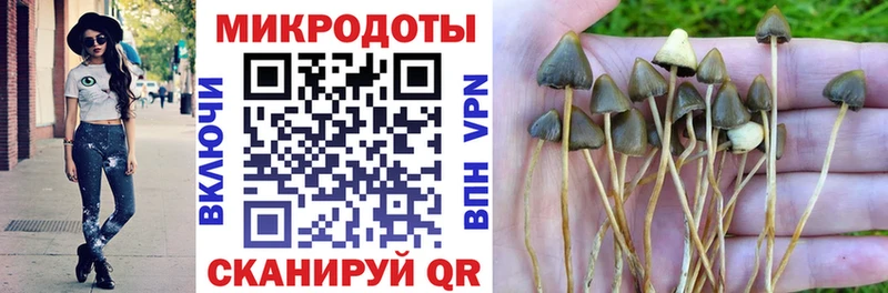 где найти   Волоколамск  Псилоцибиновые грибы мицелий 