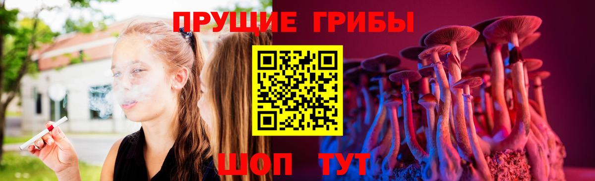 Волоколамск  Псилоцибиновые грибы GOLDEN TEACHER  Вход с VPN 